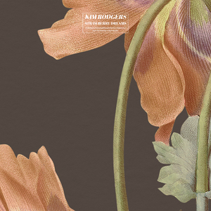 天堂禾欧美城网站
