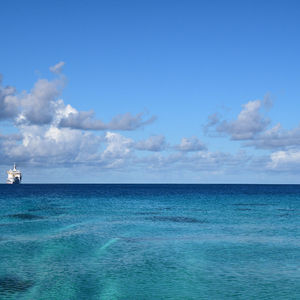 天堂禾欧美城网站
